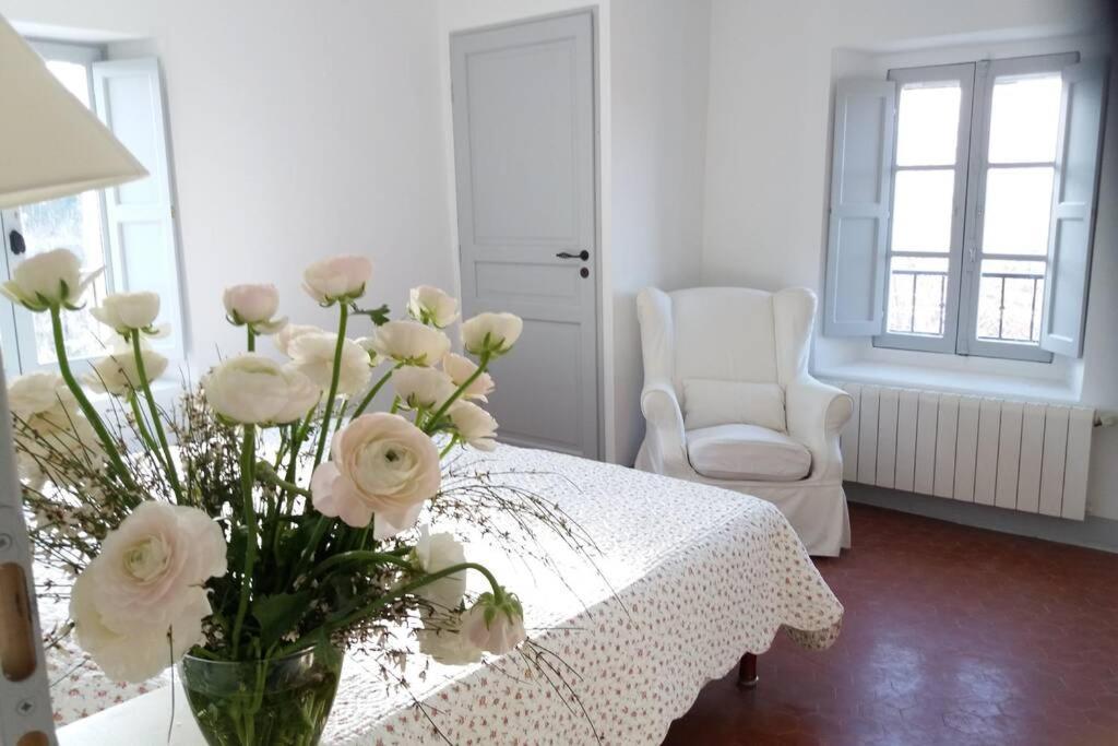 Bastide Au Milieu Des Vignes Et Des Oliviers Aups Villa ภายนอก รูปภาพ