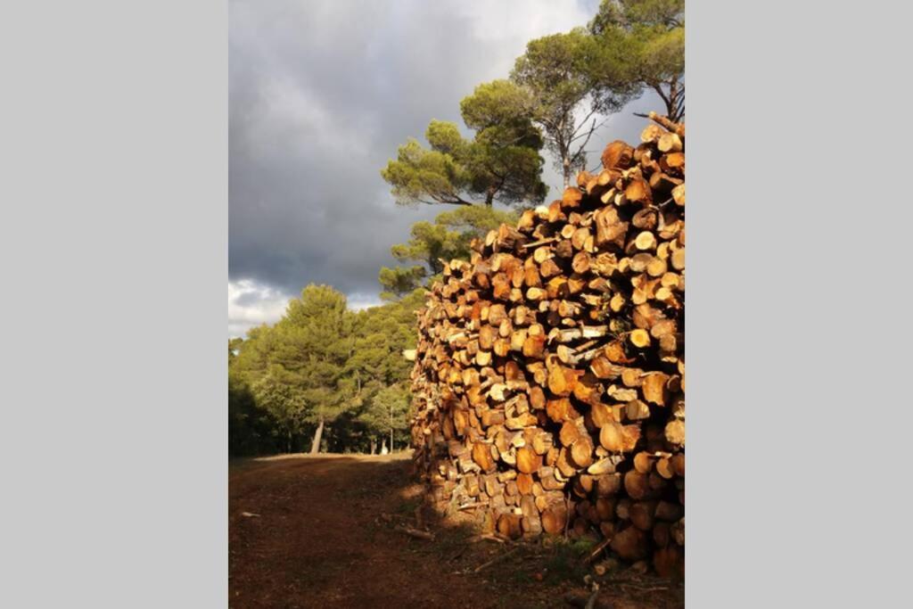 Bastide Au Milieu Des Vignes Et Des Oliviers Aups Villa ภายนอก รูปภาพ