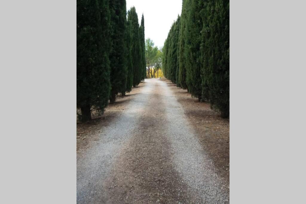 Bastide Au Milieu Des Vignes Et Des Oliviers Aups Villa ภายนอก รูปภาพ