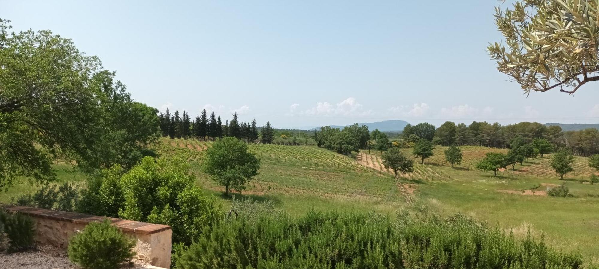 Bastide Au Milieu Des Vignes Et Des Oliviers Aups Villa ภายนอก รูปภาพ